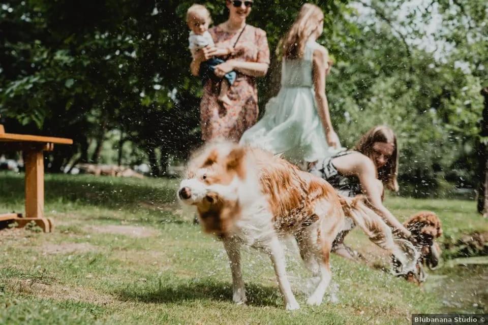 Willa La Regina Del Bosco Rivignano Zewnętrze zdjęcie