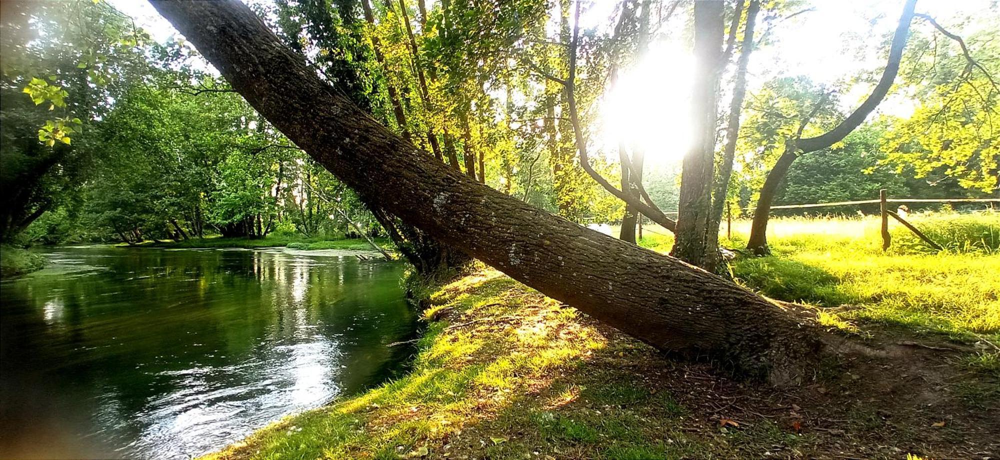 Willa La Regina Del Bosco Rivignano Zewnętrze zdjęcie