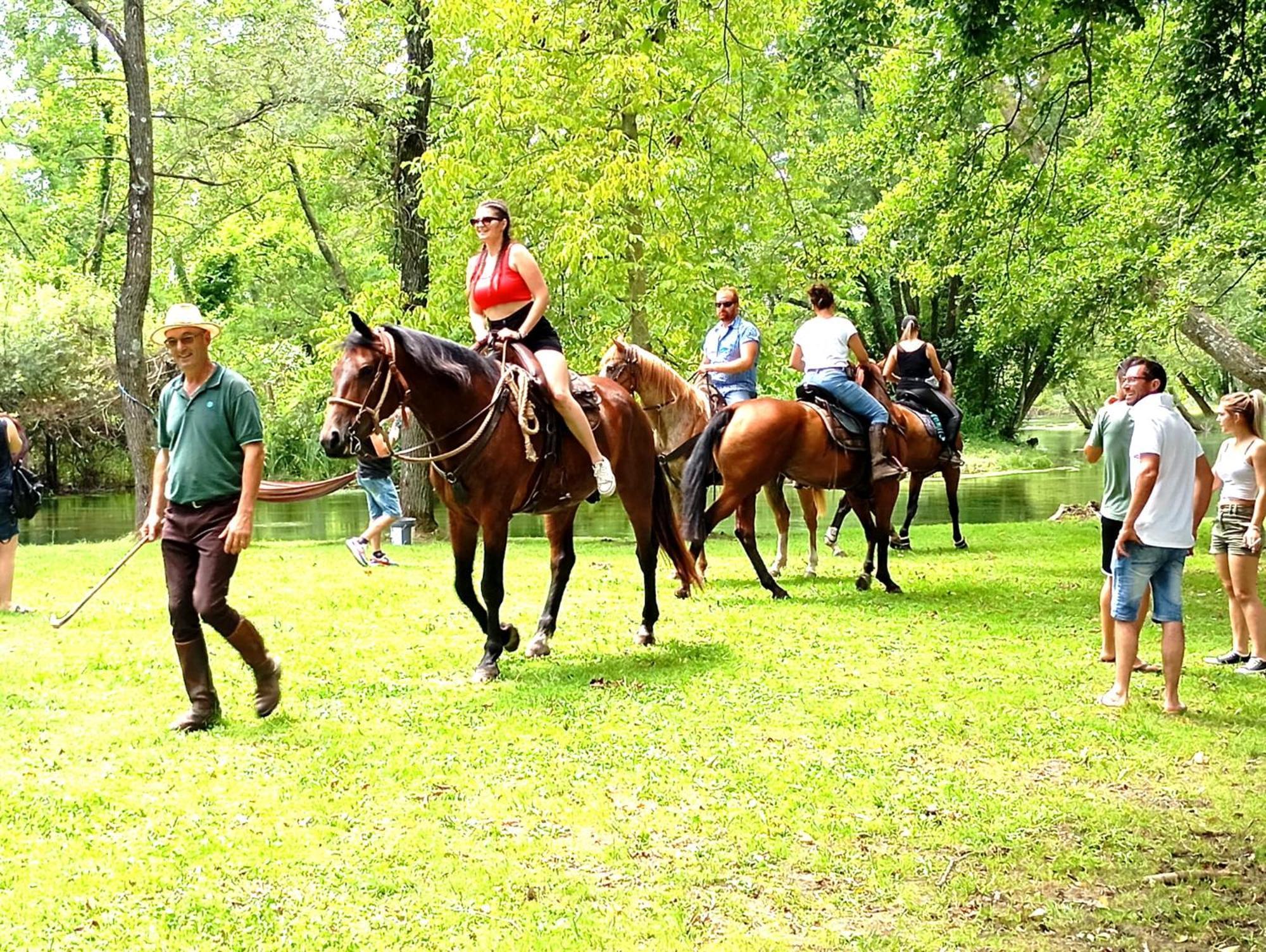Willa La Regina Del Bosco Rivignano Zewnętrze zdjęcie